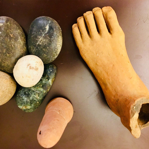 9. Le offerte anatomiche